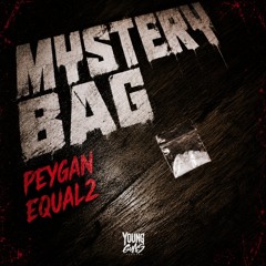 PEYGAN & EQUAL 2 - MYSTERY BAG