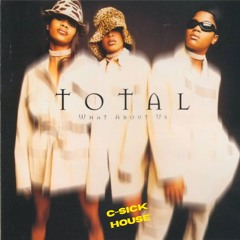 Total - "What About Us" (C-Sick House Remix)