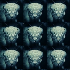 Megger - Chrysalid - To The Stars (EP)