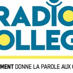 Radio Collège - Collège Louis Merle (Secondigny) - Janvier 2024
