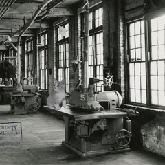 Kitten Labor