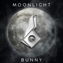 DJ Bunny - Moonlight