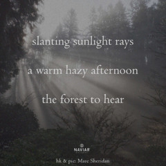 Hazy Afternoon - (naviarhaiku - 592)