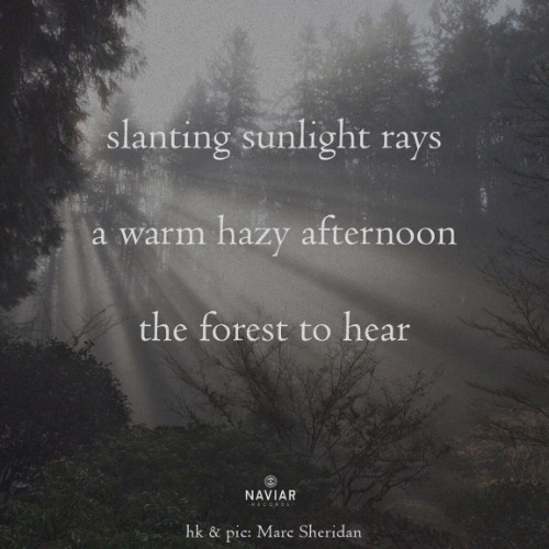 Hazy Afternoon - (naviarhaiku - 592)