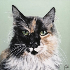 Stefane Lutin - Silent Words