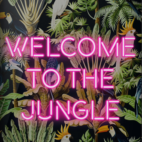 Stream jungle Mix 1 2024 by Kieran Pounder | Listen online for free on ...