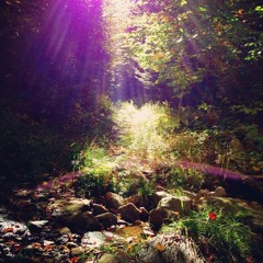 wish it wasn't true (killua55)