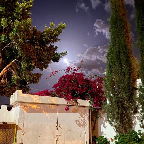 غلاه من فوق الغـلا ماهو بدون :(