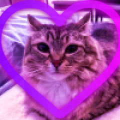 Catness