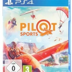 Pilotsports_Ingame06