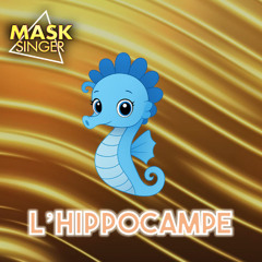 Ca me vexe - Hippocampe