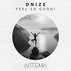 Dnize - Feel so Good! (Original Mix)