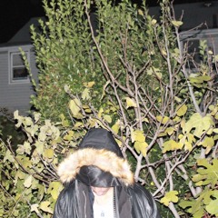 i tried, i really did