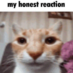 WOK STAR - Kirb REMASTERED