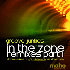 In The Zone Remixes PT. 1 (Dave Doyle Remix)