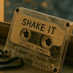 Metro Station - Shake it (KeyNee Remix)
