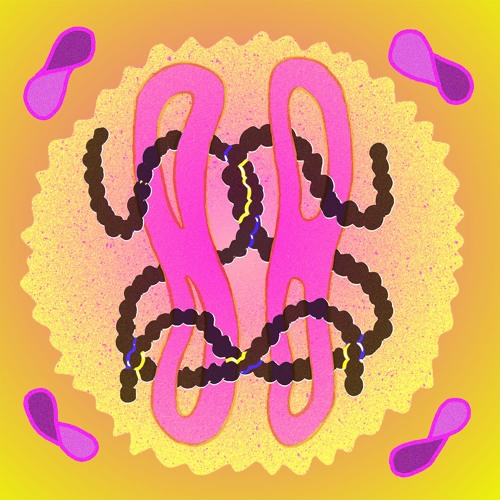 The Beths - A Real Thing