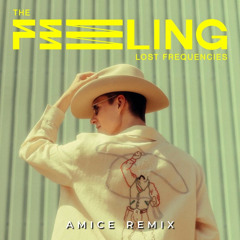 Lost Frequencies - The Feeling (Amice Remix)