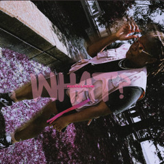 Reece Lache' - What Sped Up