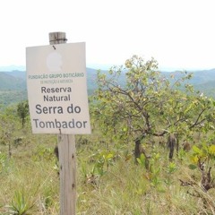 Professor Reuber Brandão descreve potencial da região da Serra do Tombador