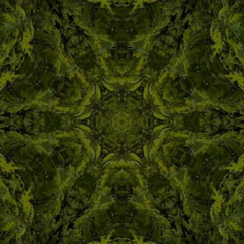 I'm here for tekno and tekno is here for me | 160 bpm  .wav
