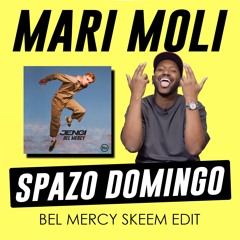 Spazo Domingo - MariMoli (Bel Mercy SKEEM Edit) 126