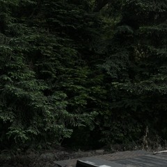 Lucki x I had a feeling