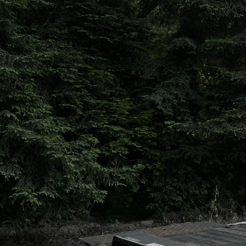 Lucki x I had a feeling