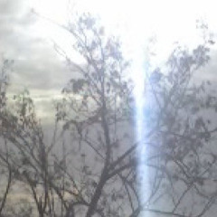 𝒶 𝒷𝓁𝑜𝑜𝒹𝓎 𝒻𝒶𝓉𝑒 🩸