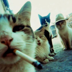 soul tied :prod sanya: