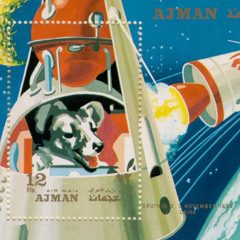 acid zwischen klokabinen @skandal