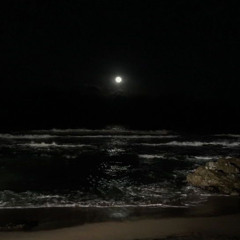 Gokuraku [ Cover by Funnel_cake + Reverb + Slowed ]