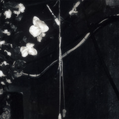 Casper Schulz - Fall In Love