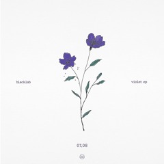 Blacklab - Violet
