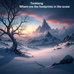 Where are the footprints in the snow