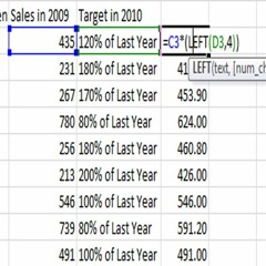 Using the Left Formula in Excel