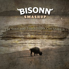 The Toxic Bad Touch Issues Can Shake It (BISONN SMASHUP)