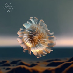 Premiere | S_Zer0 - Hypnotized (Extended Mix) [CROCUS]