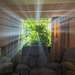 أَلَمْ يَعْلَم بِأَنَّ اللَّهَ يَرَىٰ - سورة العلق برواية حمزة عن خلف || المنشاوي