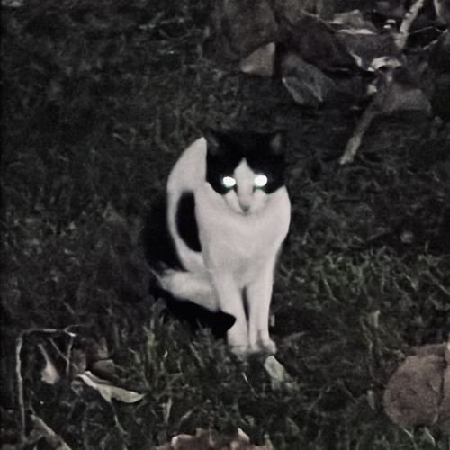 2am in Houston feat. Jensei