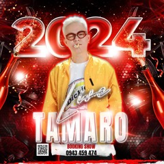 Tuyet Chan That - Tamaro Remix