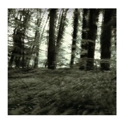 Ambient