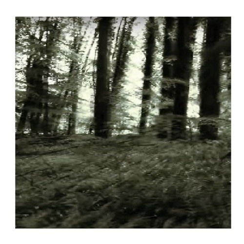 Ambient