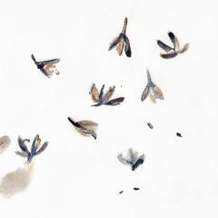 Fallen Petals 落花 (song cycle for soprano and orchestra)