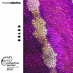 Collective Series \ Season 01 Ep. 07 \ Dalga