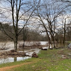 Brandywine Creek ~ cover