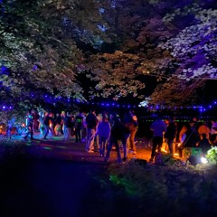 Rave United Sets