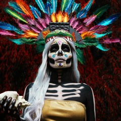 Rolling Skulls In The Jungle