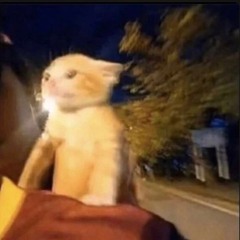 Past/U (Prod. IMMORTAL x In Bloom)