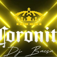 Coronita Mix 2024 Január - Dj Bacsa